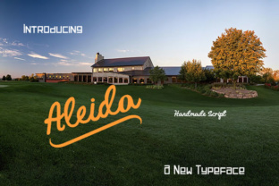 Aleida: A Script Amp Font That Makes Your Campaigns Instantly Clear