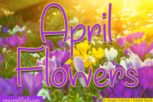 April Flowers Handwritten Font for Crafters & Sellers