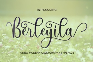 Berleyila: A Hand-Drawn Script Font That Elevates Real Business Branding