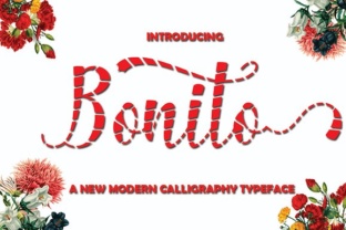 Bonito Script Font for Handmade Labels & Printables
