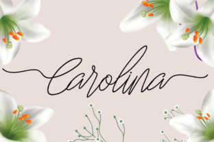 Carolina: A Refined Script Font for Polished Branding