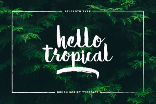 Hello Tropical: A Summer-Ready Script Font for Small Business Brands
