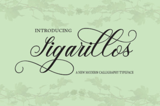 Sigarillos: A Refined Script Font for Editorial Moments