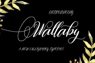 Wallaby: A Handwritten Font That Makes Your Brand Feel Human